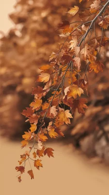 herfst wallpaper iphone beige