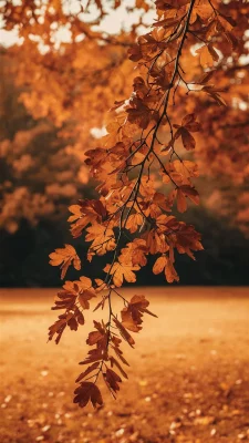 herfst wallpaper iphone beige