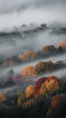 Herfstochtend met mist