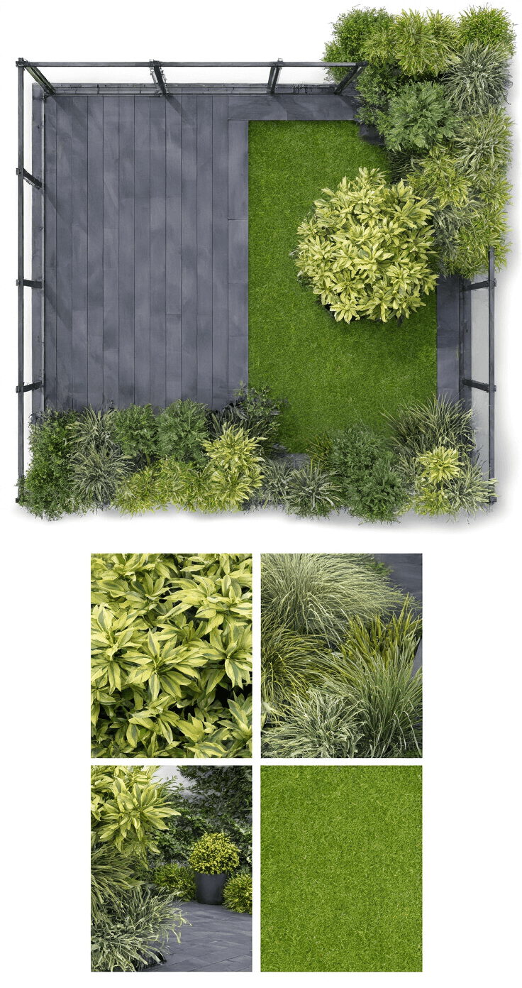Intieme daktuin tijdens het gouden uur met moderne composietdekking, ingebouwde plantenbakken met wintergroene Skimmia en siergrassen.