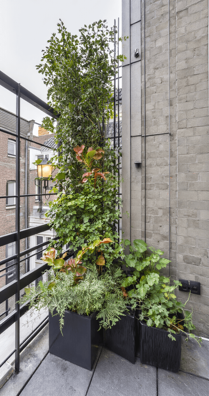 Moderne appartement-balkon in avondlicht met drie pannenkoekplanten in zwarte keramische potten op een metalen plantentrap, stedelijk uitzicht op de achtergrond.