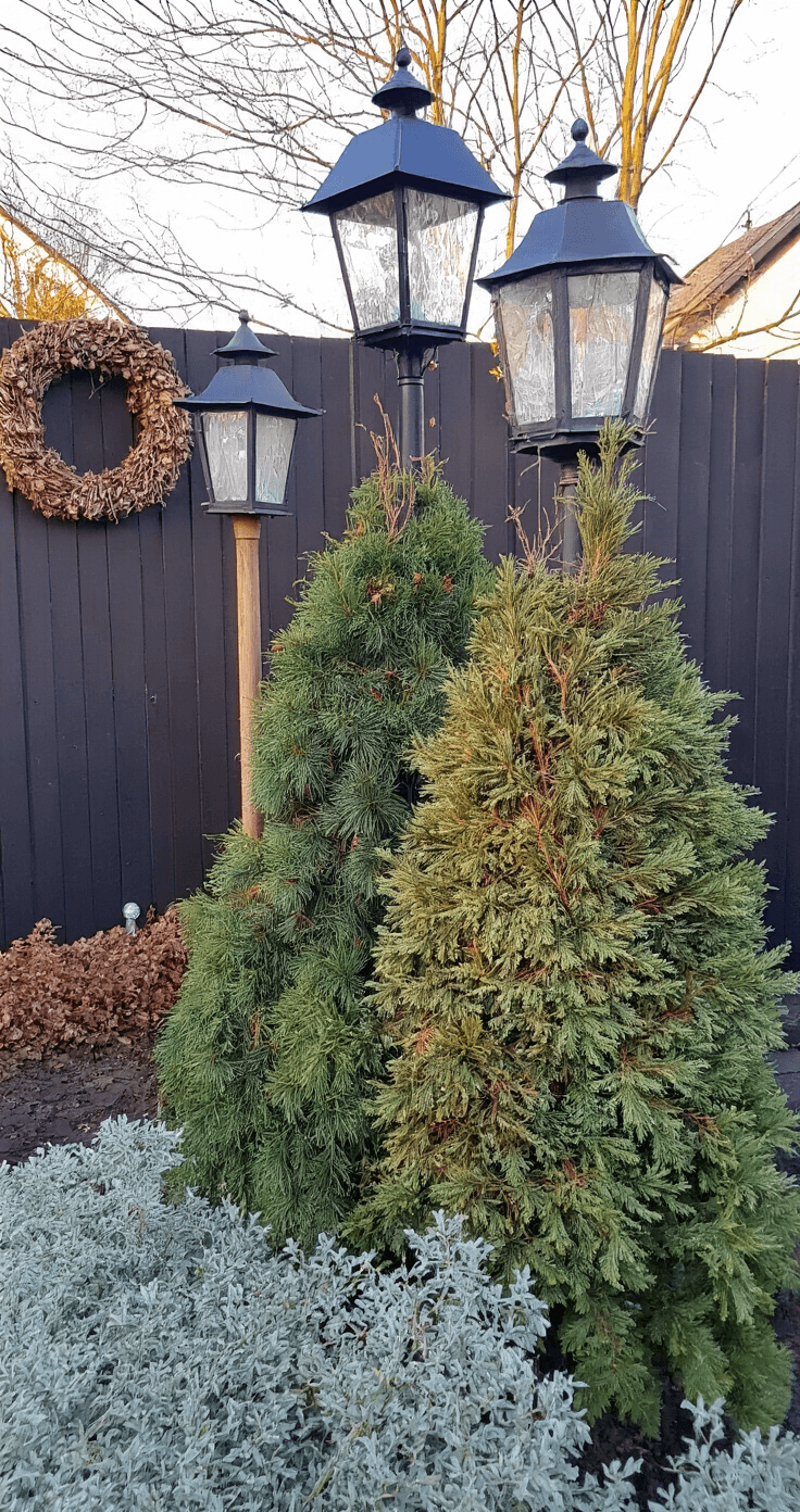 DIY Kerstdecoratie voor Buiten: Goedkope en Creatieve Buitensferen Maken Knusse tuinhoek in de vroege avond met drie lantaarns van verschillende hoogtes, omringd door wintergroene planten en een handgemaakte dennenappel-ster aan de schuttingwand, sfeervol belicht tegen het licht.